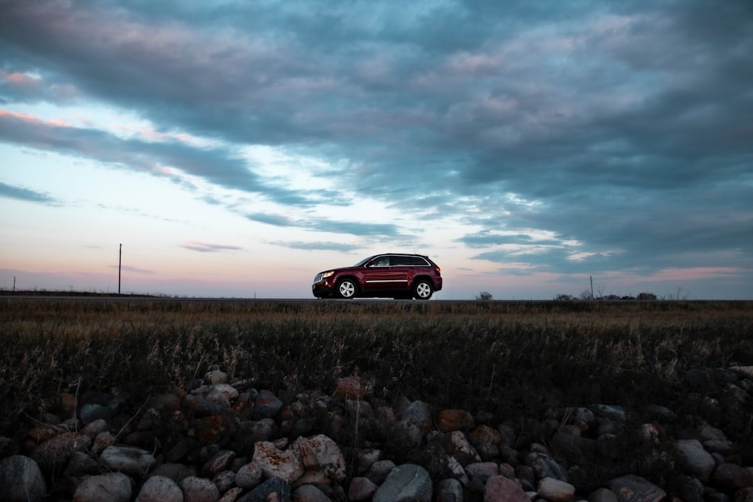 red car on field during daytime