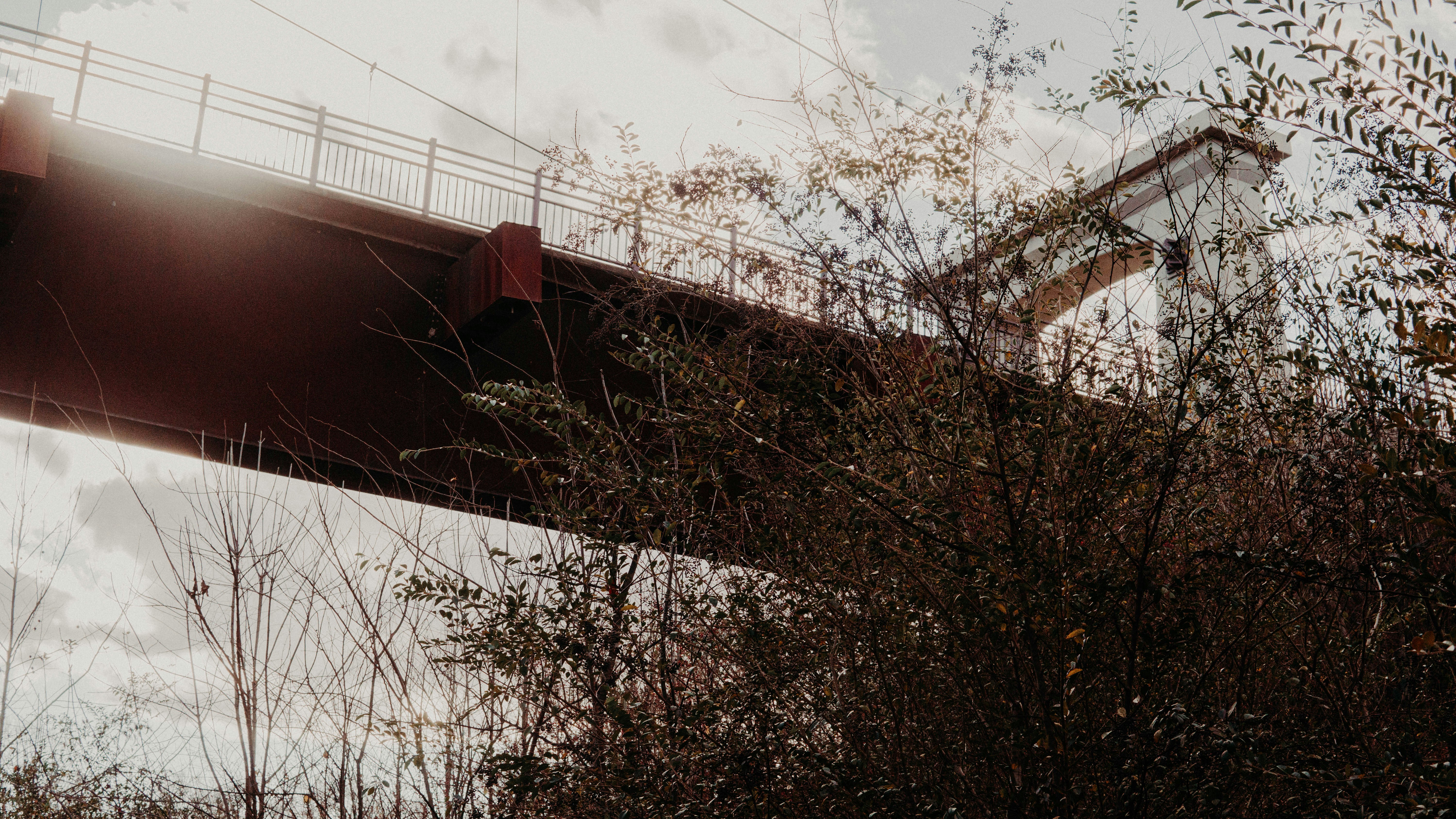 Photo by seansinspired