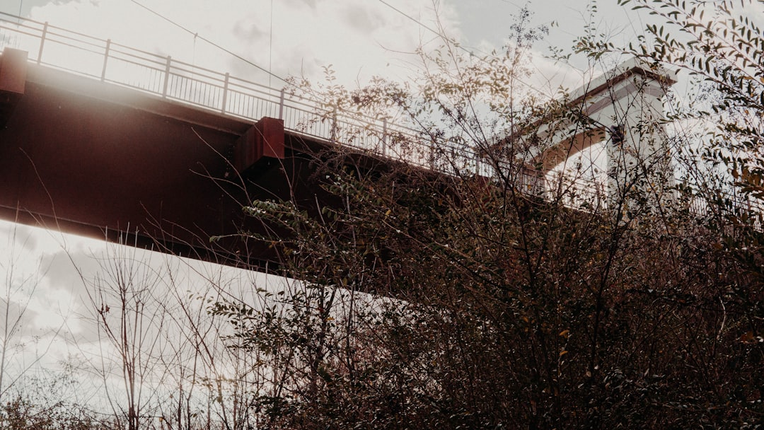 photo of red steel bridge