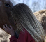 A participant gently brushing a calm horse, sharing a peaceful moment together.