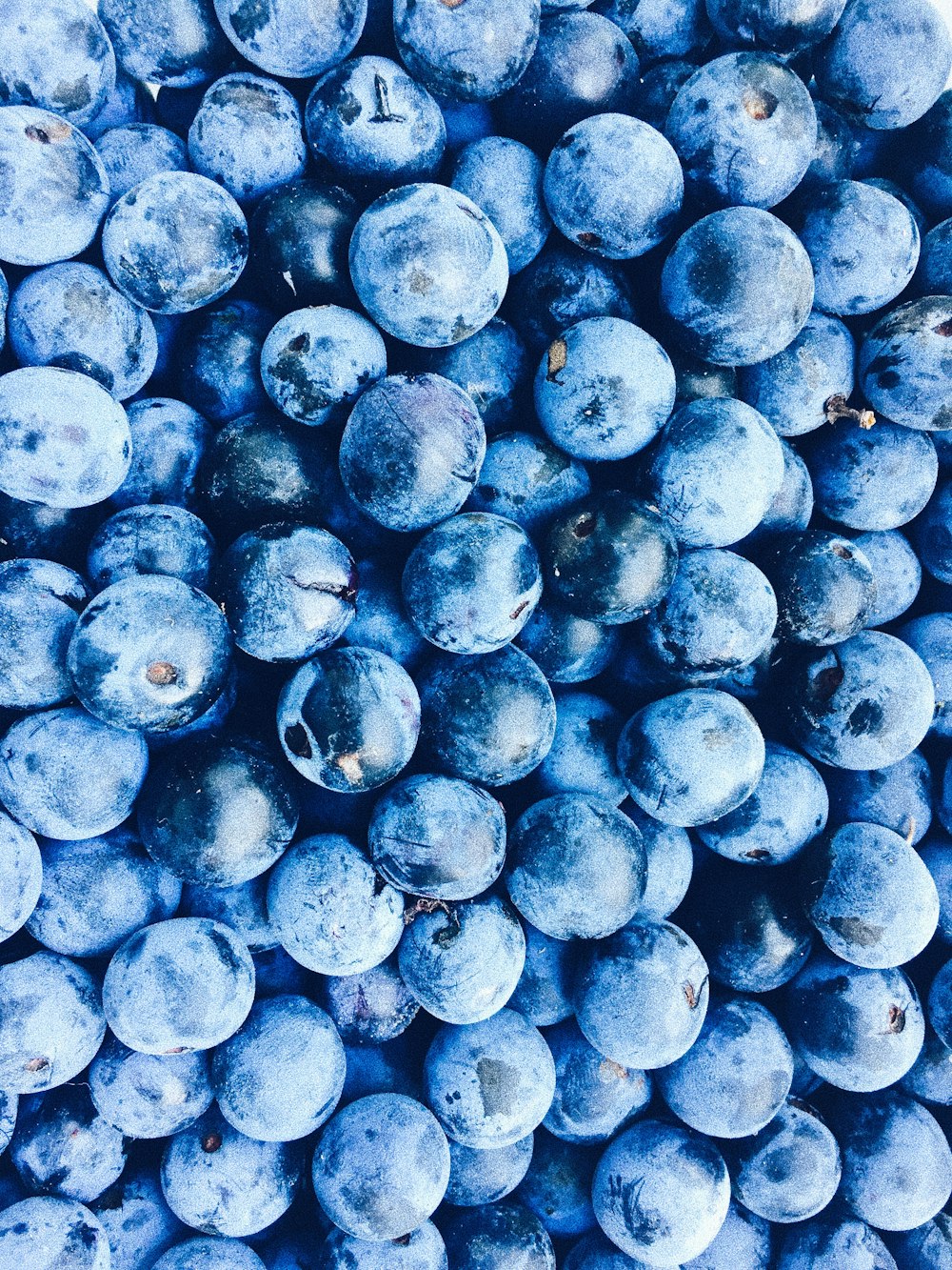 blue berry lot