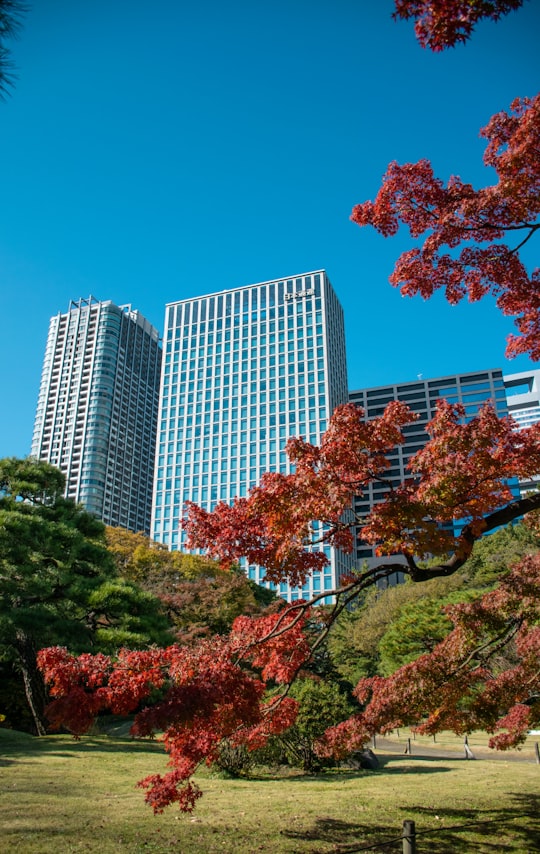 Hamarikyu Gardens things to do in Tokyo Skytree Station