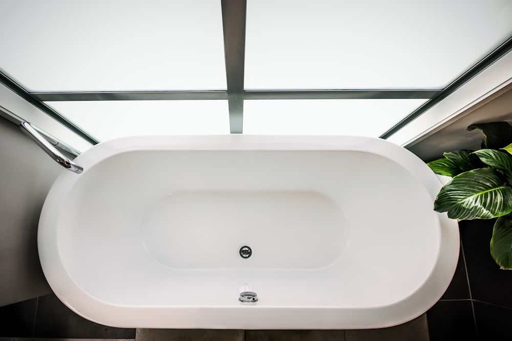 a white bath tub sitting next to a green plant