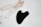 A smooth, black, heart-shaped stone is placed on a light marble surface beside several clear quartz crystals. In the background, a small glass bottle with an orange-toned liquid is visible, partially out of focus.