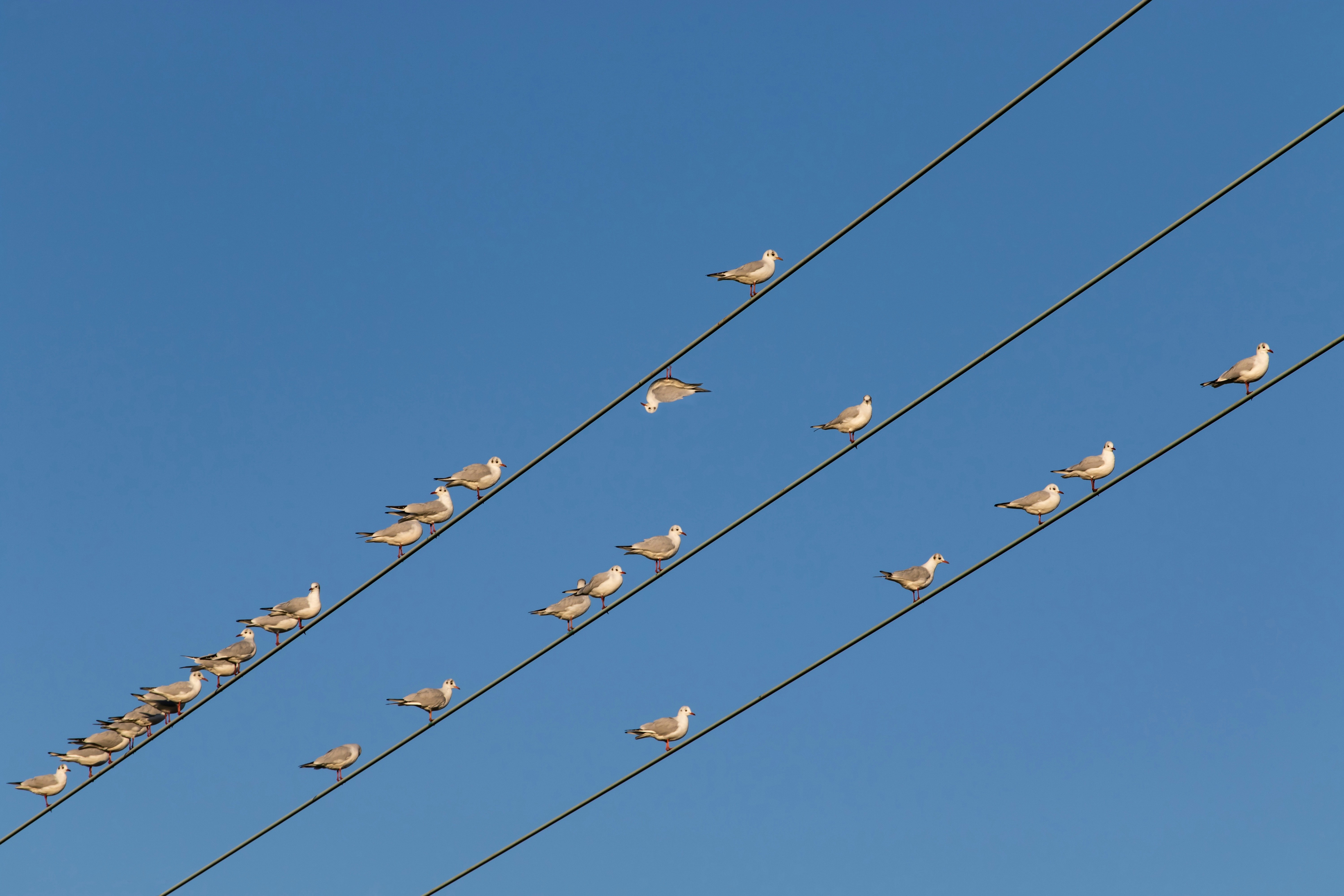 Photo by theotherkev