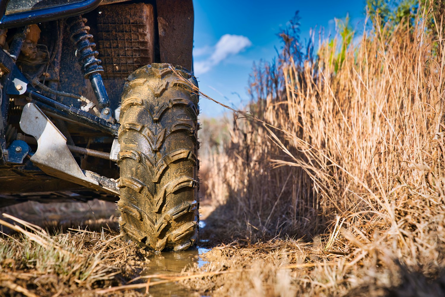 A ground level view of a side-by-side tire on a wet trail in the middle of a year old cut-over.
