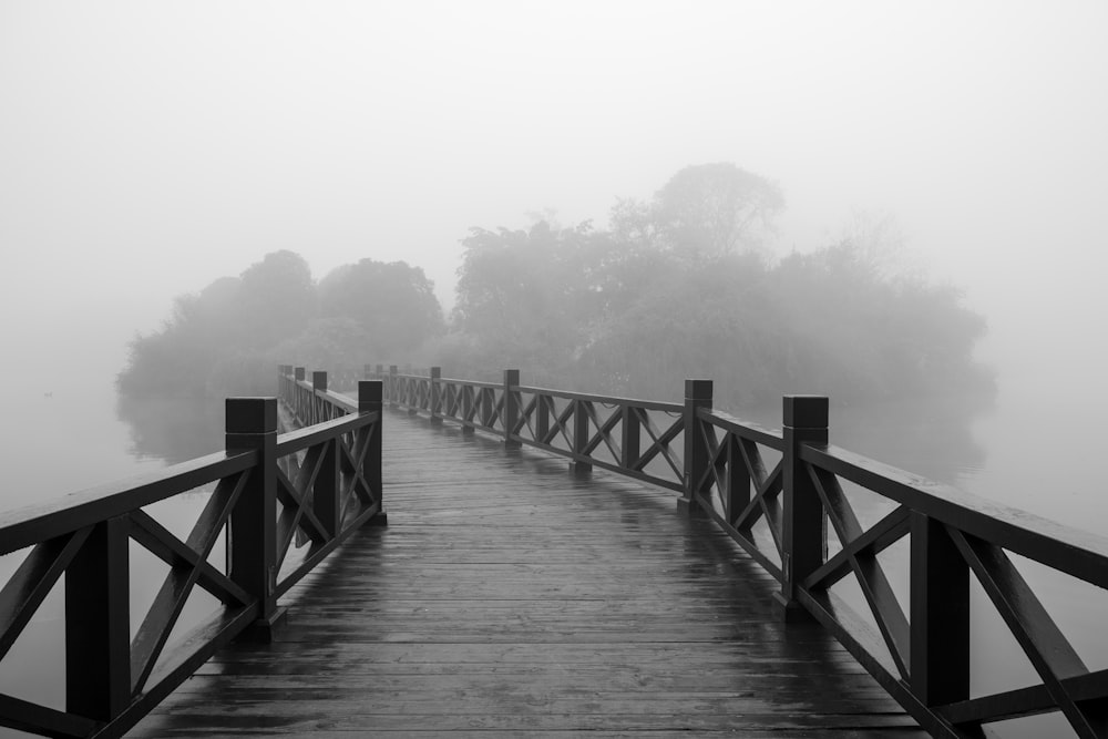 greyscale photography of wooden dock