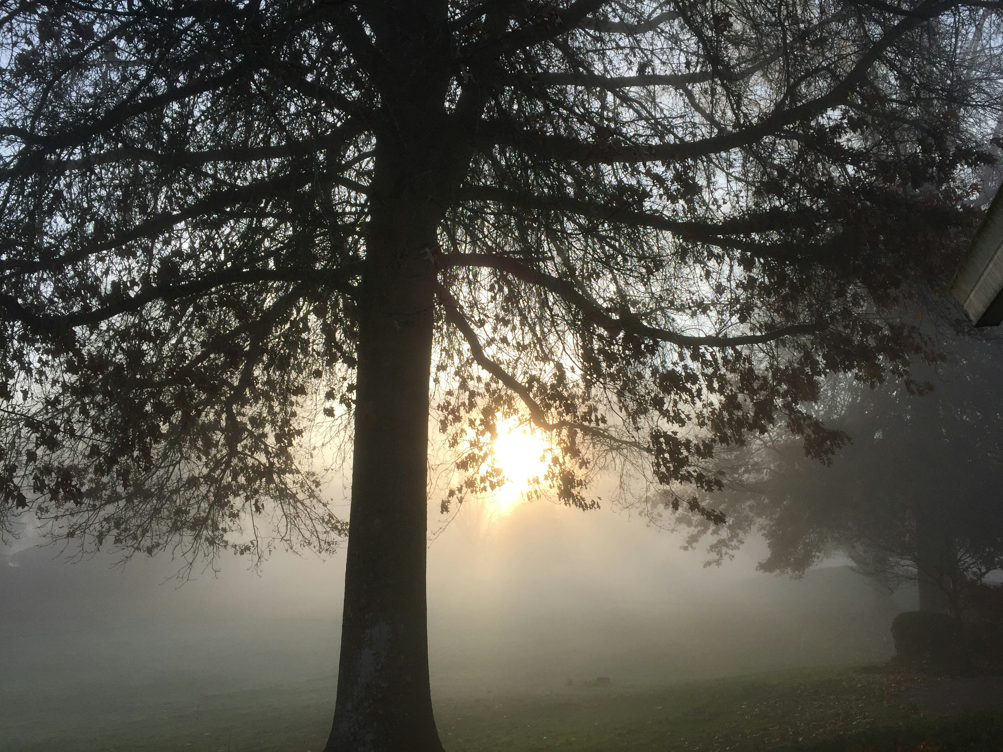 Photo by bearsmaggie