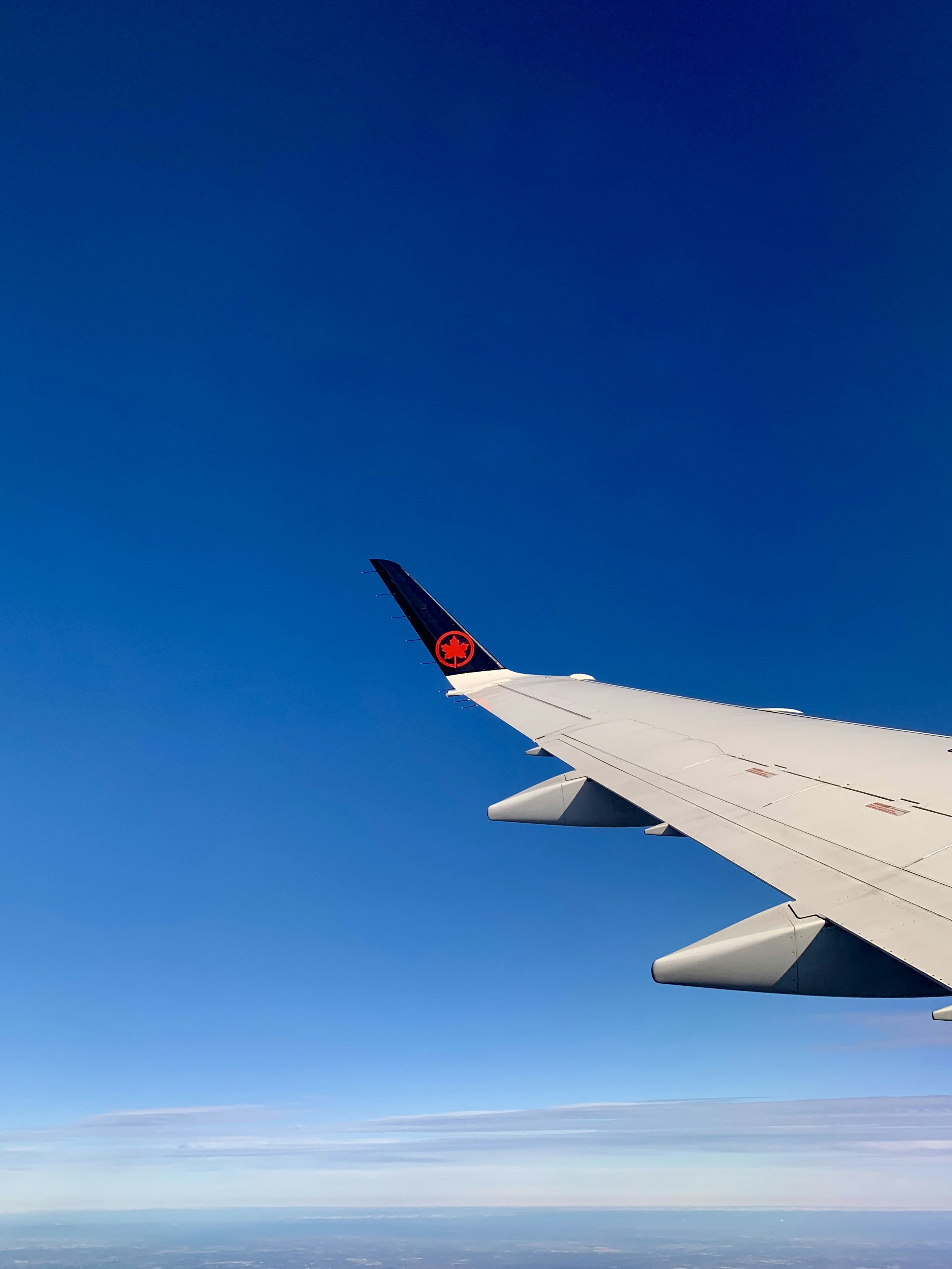 flight