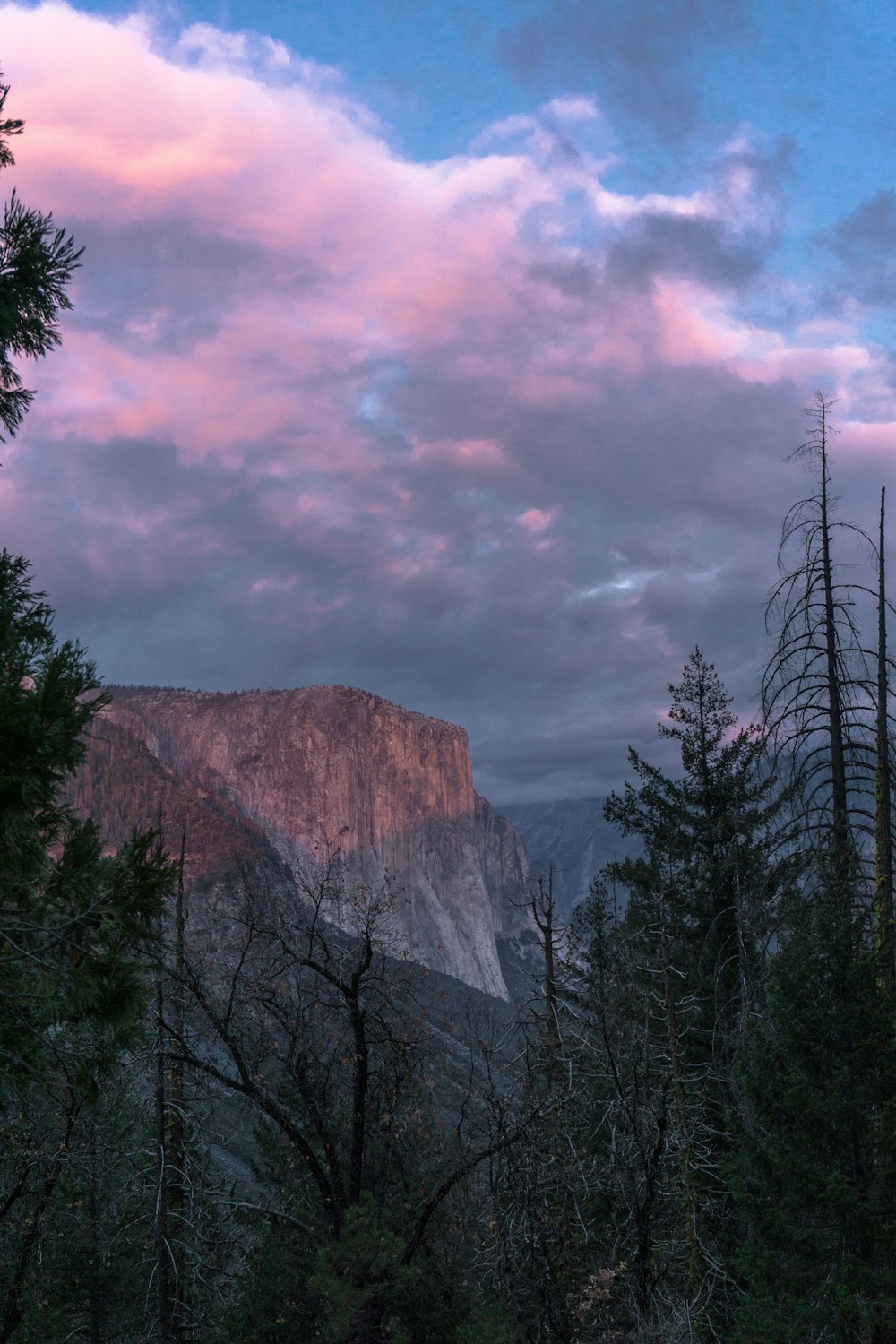 green trees near mountain under cloudy sky