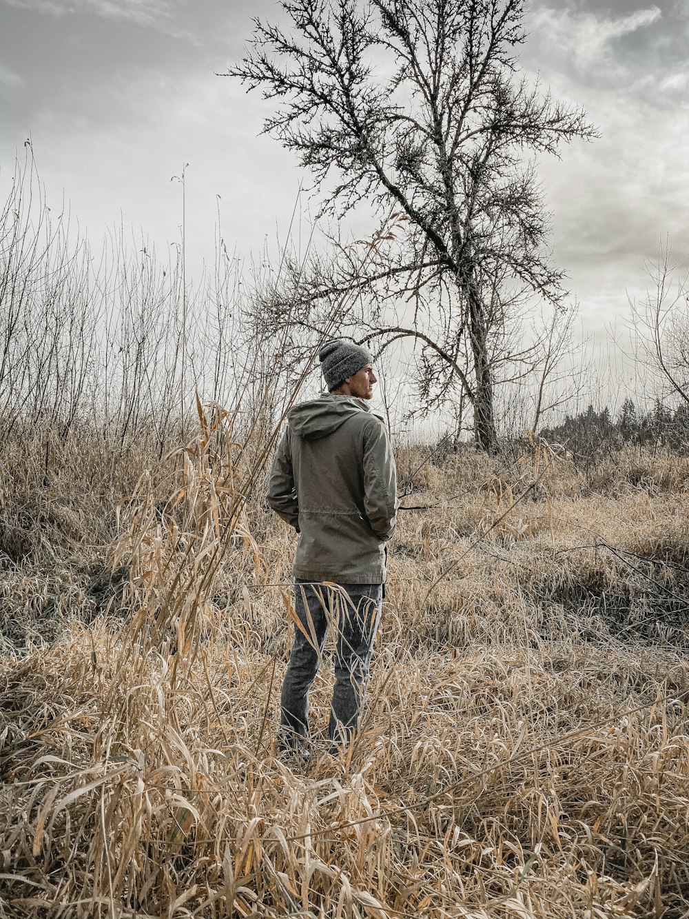 man standing on bush near tree during daytime