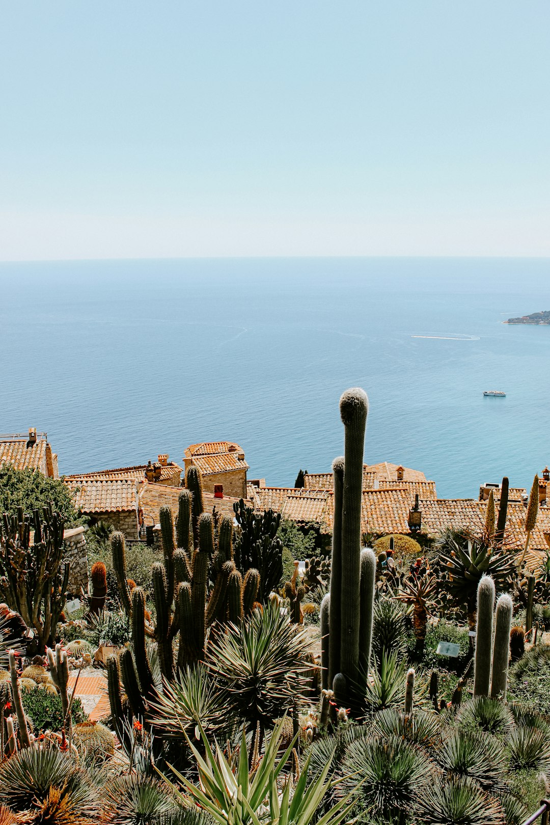 Coast photo spot The Exotic Garden France