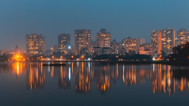 city with high-rise buildings near body of water during night time