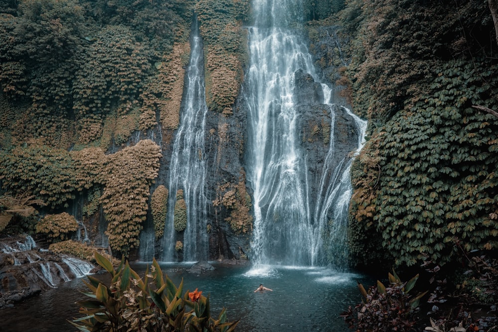 flowing waterfalls near green vegetation