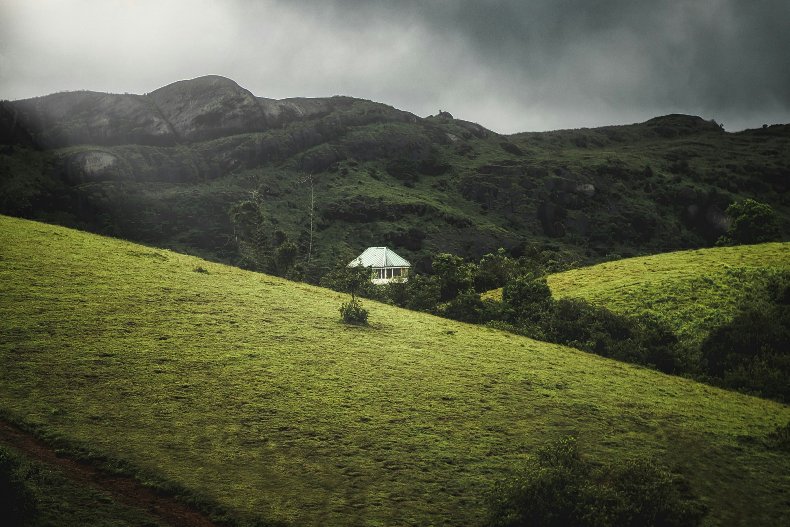 Meadows in Vagamon