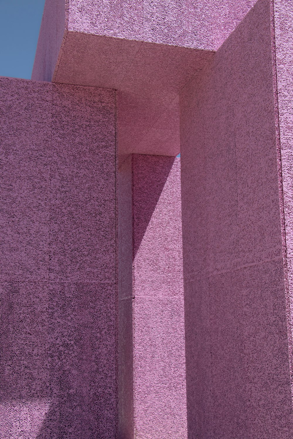 close-up photo of pink painted wall