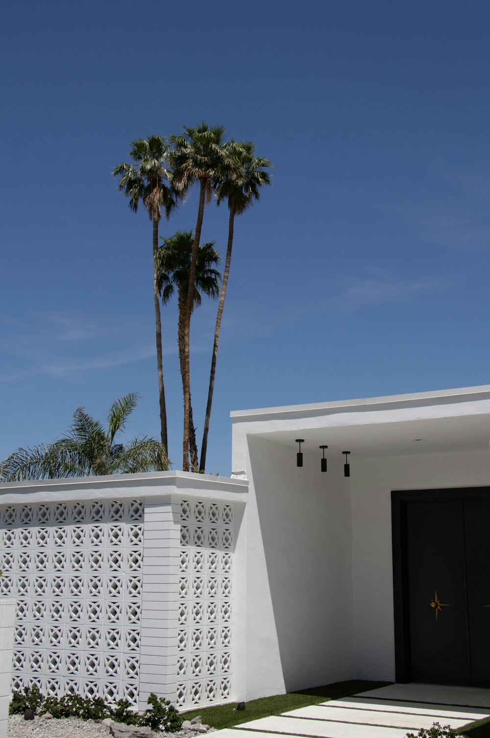 Mexikanische Palme in der Nähe eines weiß gestrichenen Hauses