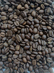 Close-up of freshly roasted coffee beans with steam rising.