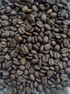 Close-up image of freshly roasted specialty coffee beans ready for export packaging.