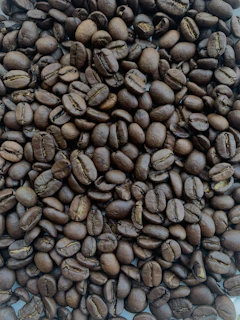 Close-up of freshly harvested coffee beans from a Latin American farm