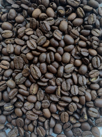 Close-up of freshly roasted medium-coarse coffee beans from Caffe Zio Pepo.