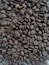 A close-up view of a large pile of roasted coffee beans. The beans are uniformly dark brown, with visible creases and a shiny surface indicating freshness and oil.