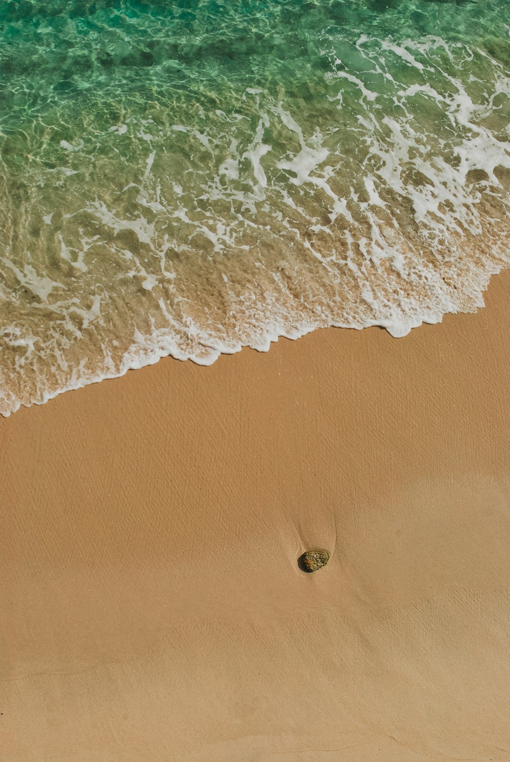 Cuerpo de agua cerca de la arena durante el día