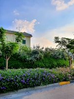 A peaceful and uplifting home care setting.