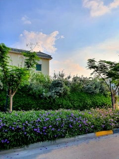 A peaceful and uplifting home care setting.