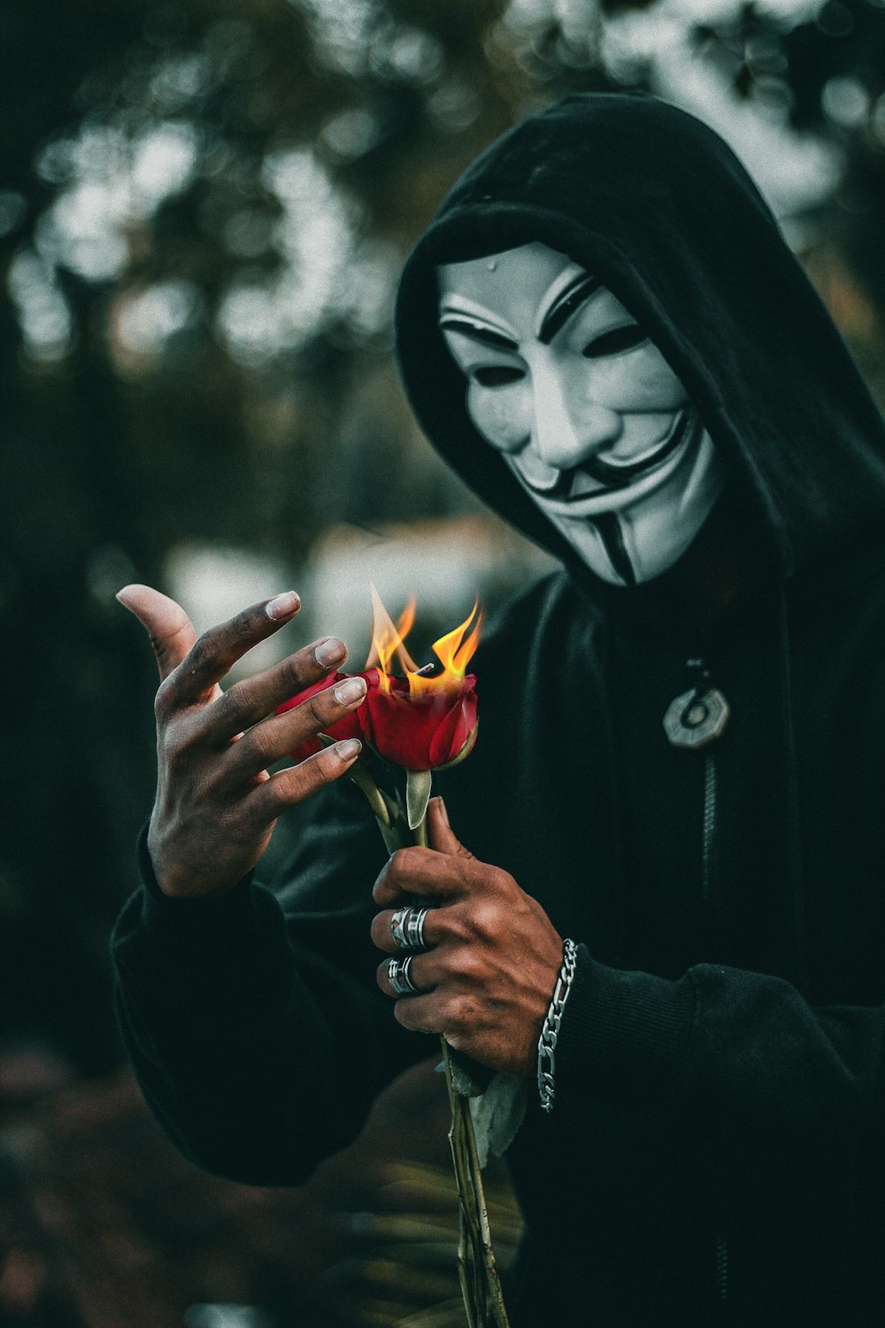 가이 포크스 가면을 쓴 사람이 불타는 빨간 장미 꽃을 들고 서 있습니다.