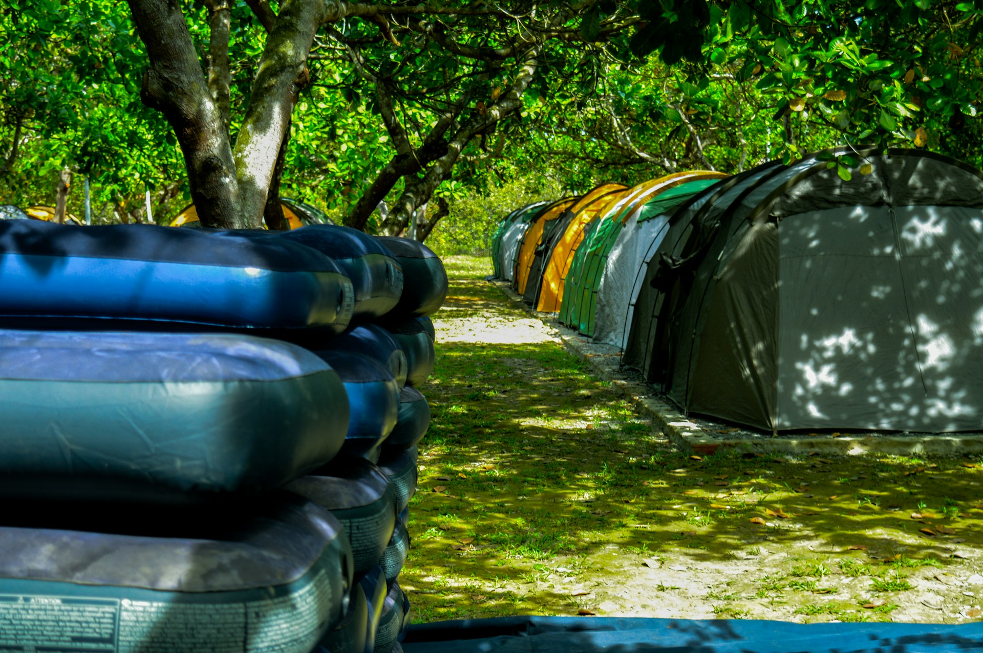Several tents are set up in a row under lush green trees, with dappled sunlight filtering through the leaves. The ground is covered with grass, and there are inflatable mattresses stacked on the left side.