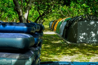 Several tents are set up in a row under lush green trees, with dappled sunlight filtering through the leaves. The ground is covered with grass, and there are inflatable mattresses stacked on the left side.