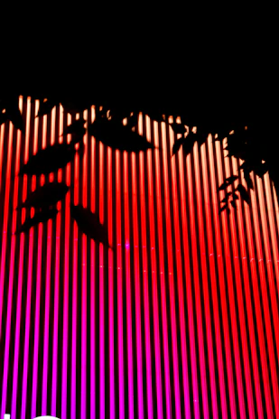 Vibrant red scarlet and neon green materials displayed with a light, airy background.