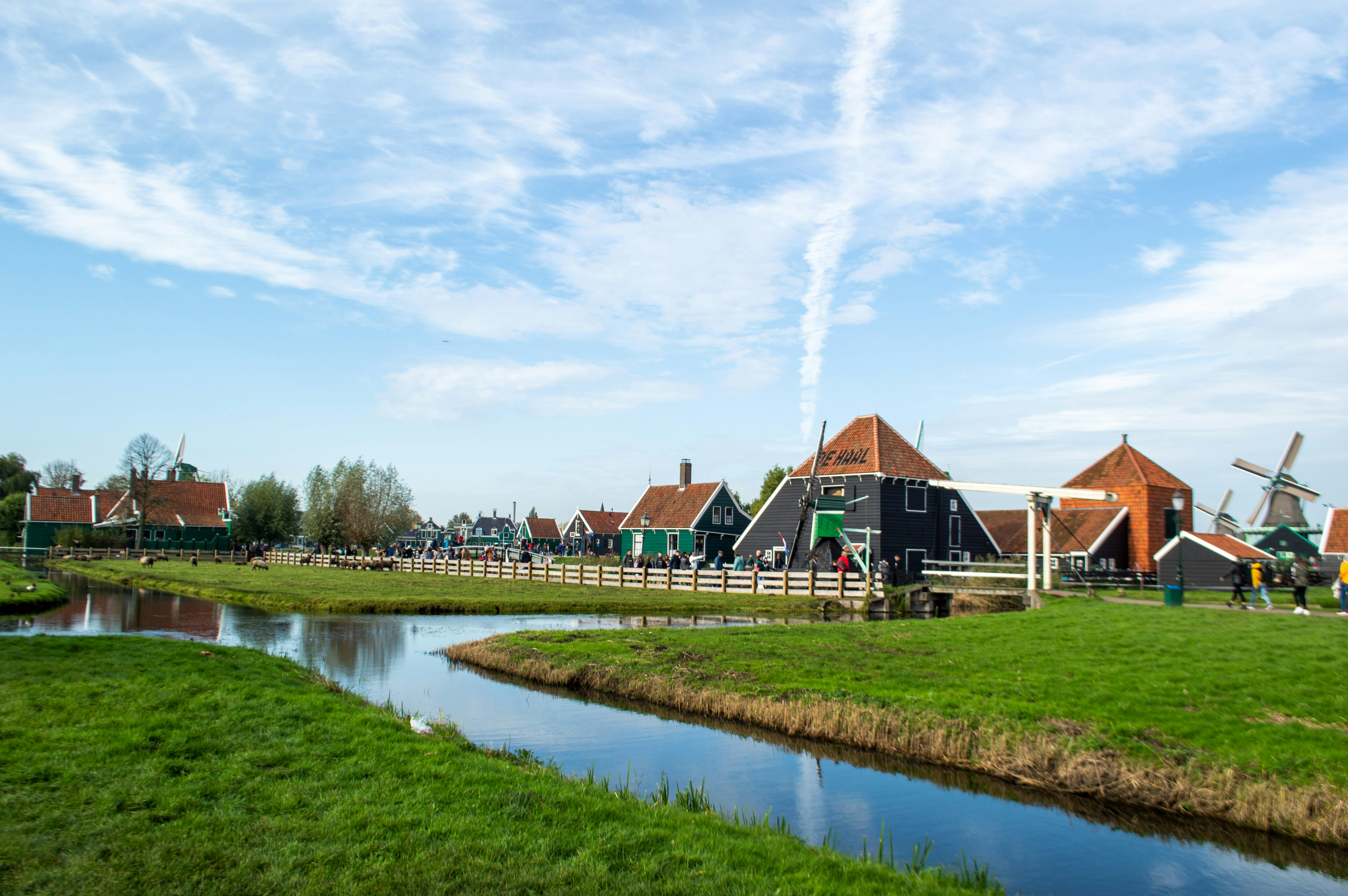 black houses near river