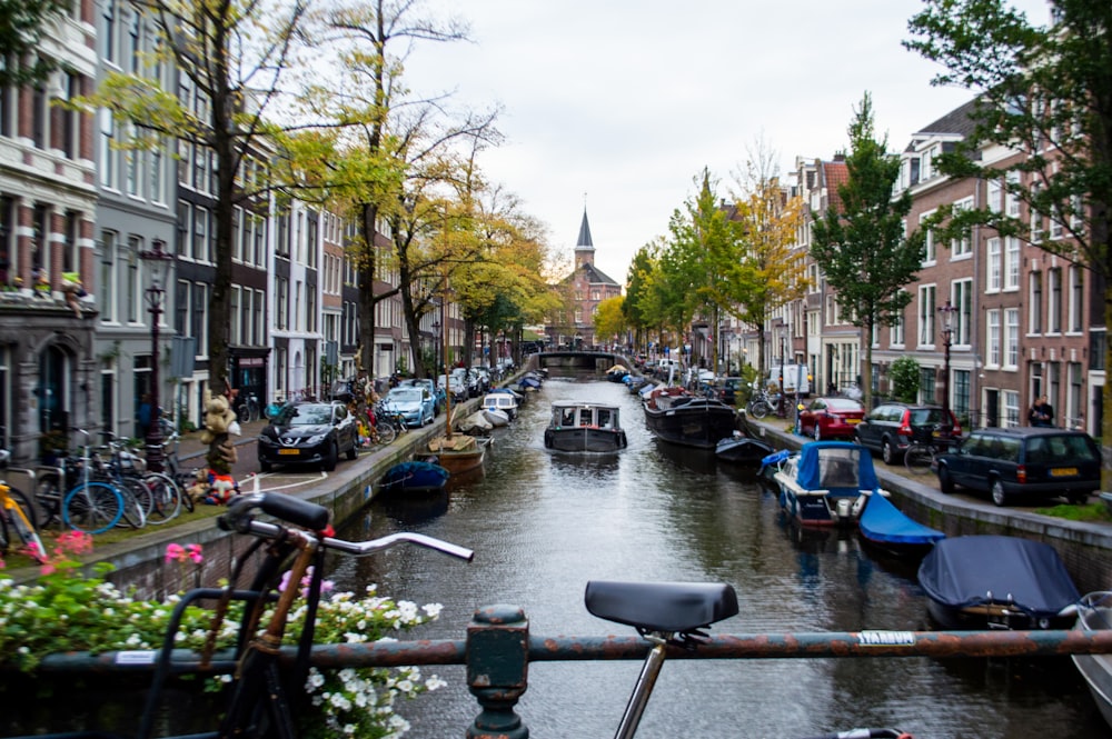 boats docked on seaside promenade in between of buildings