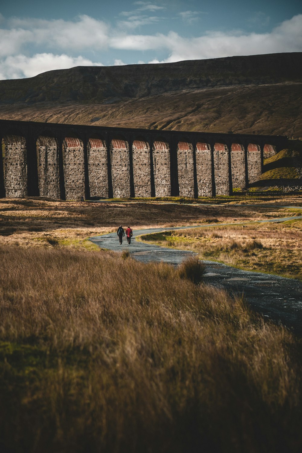 two people walking on the street in between of grass field