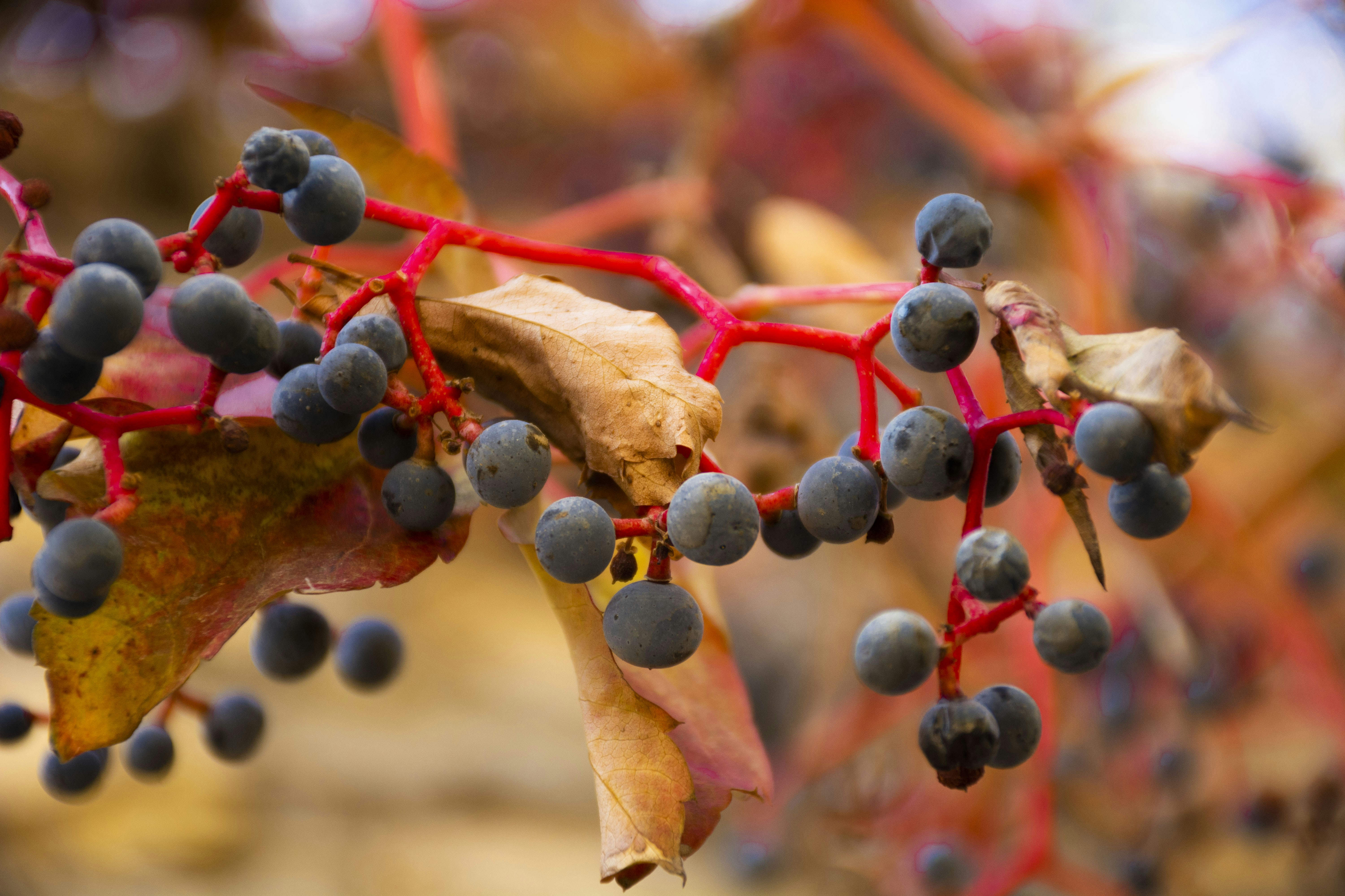 Photo by mona_tamimipour