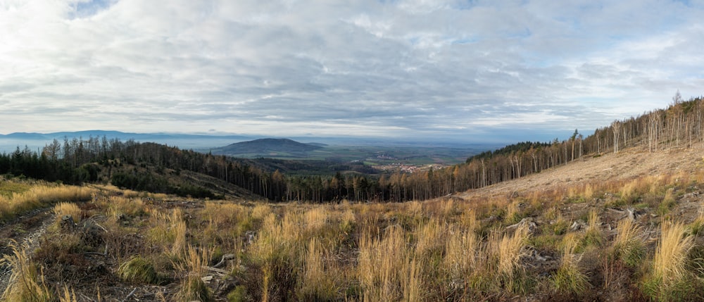 aerial photography of grassland