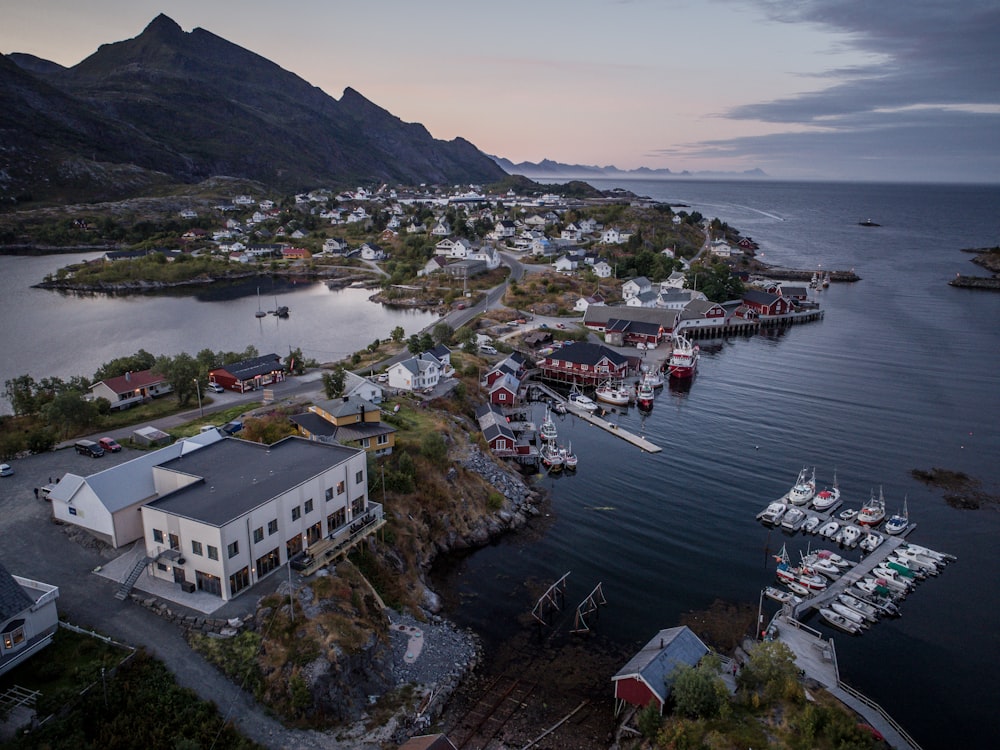 aerial photography of island