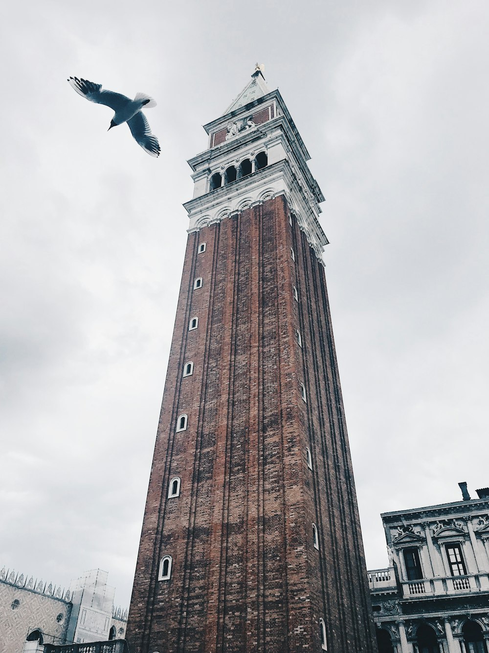 Edificio marrone e bianco