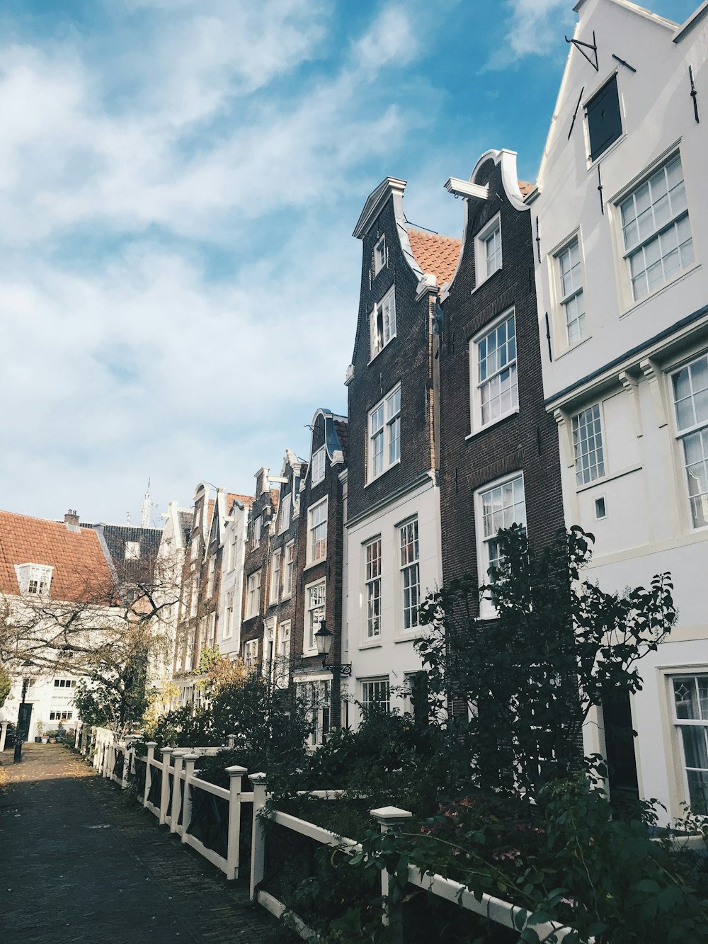 white and grey buildings