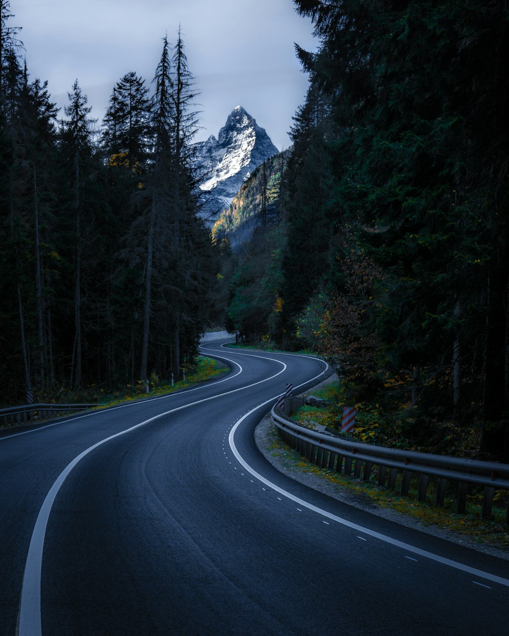 木々の間にある灰色のコンクリート舗装道路