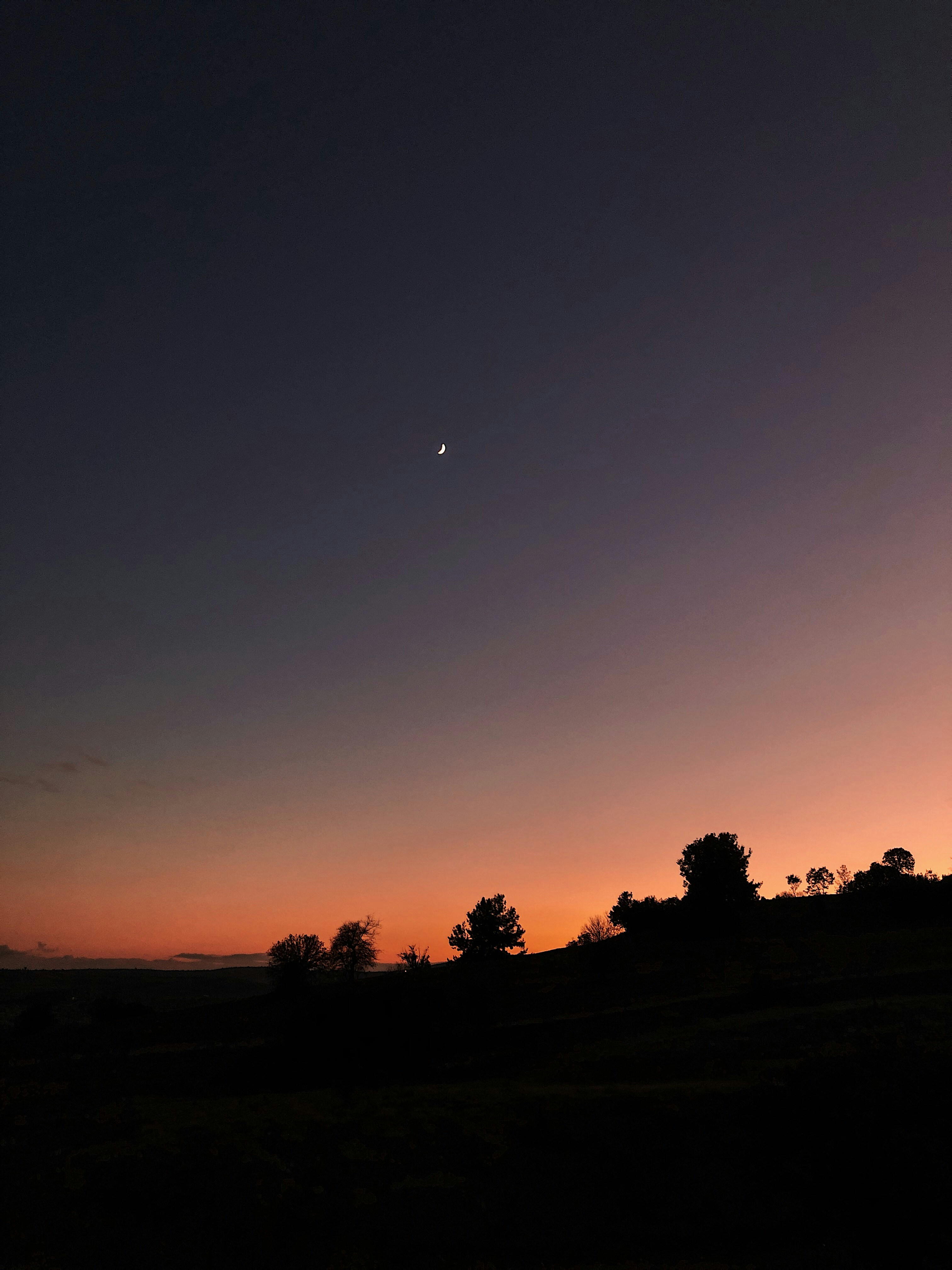 Photo by duygugunduz