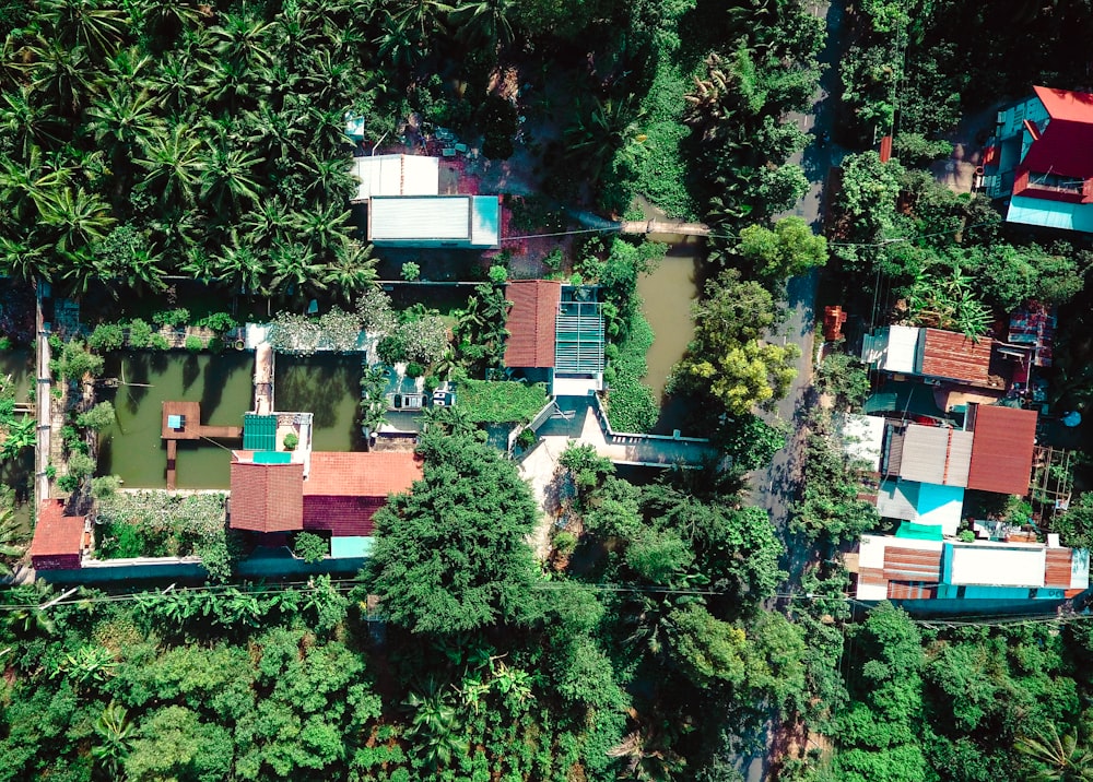 bird's-eye view photo of houses in between of grass field