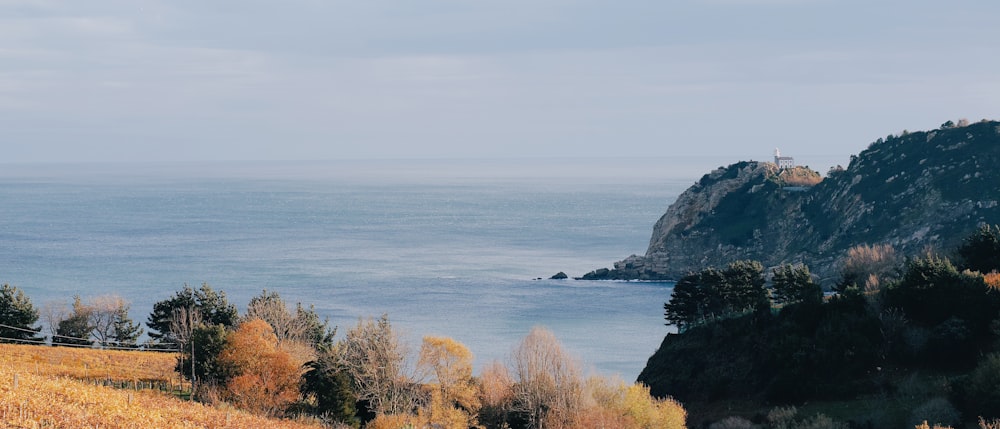 trees and grass field and sea in distant