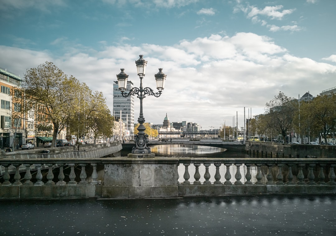 gray concrete bridge,