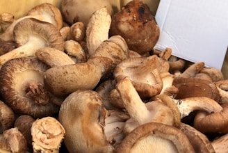 Close-up of freshly harvested mushrooms in a wooden crate.