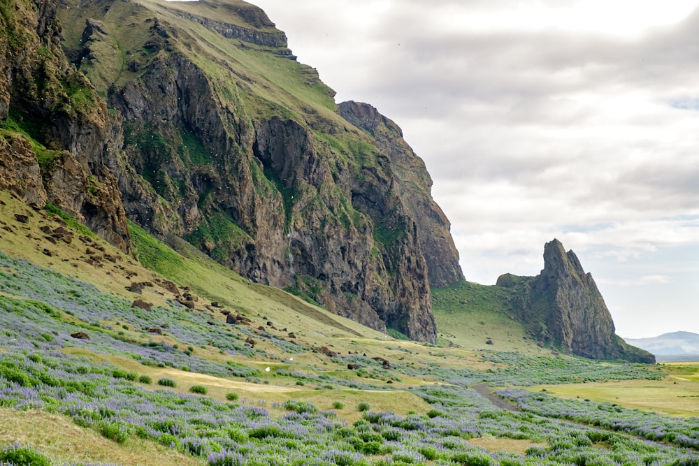 Ladera verde de la montaña