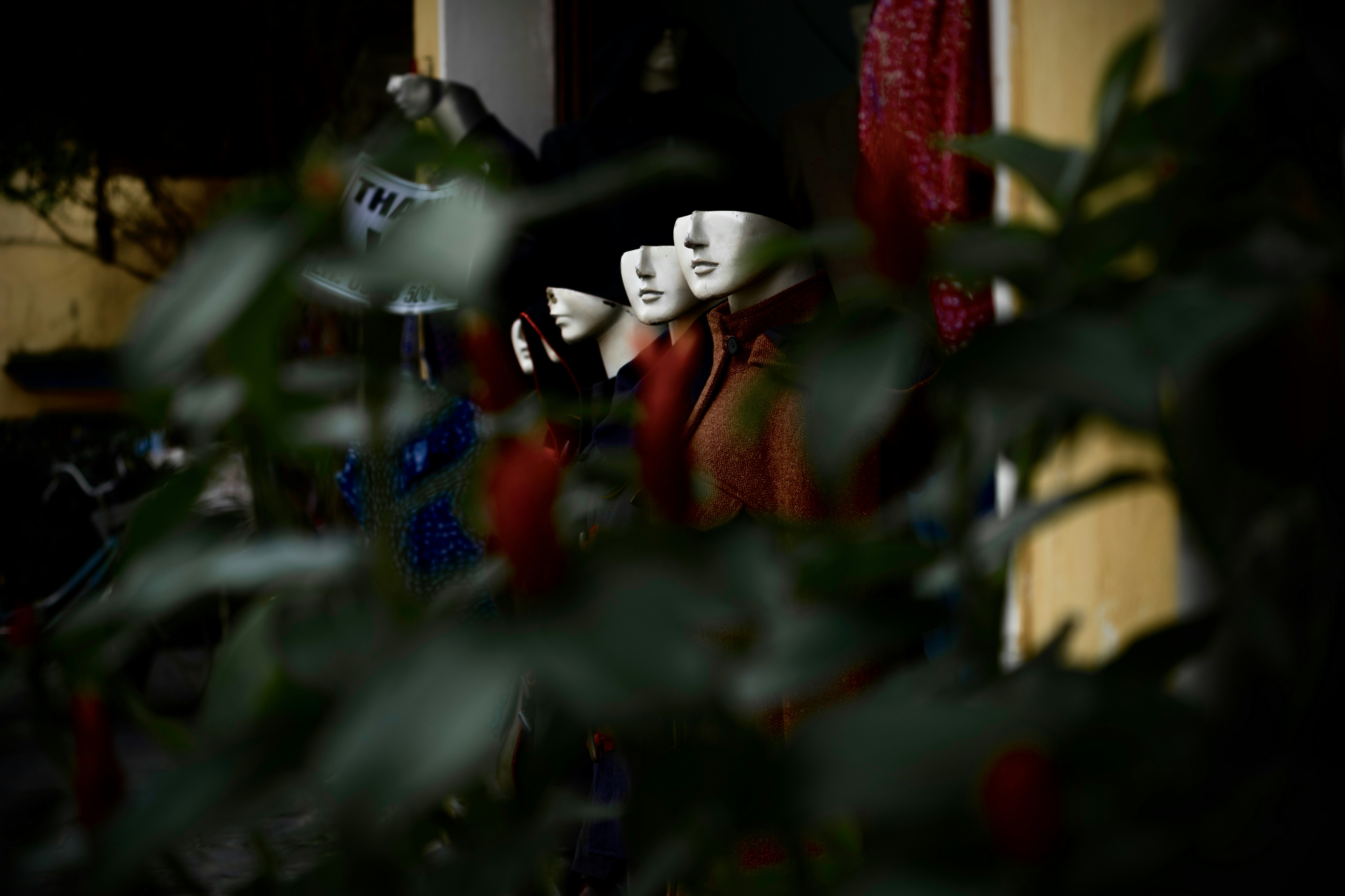 Photo by tthien12894