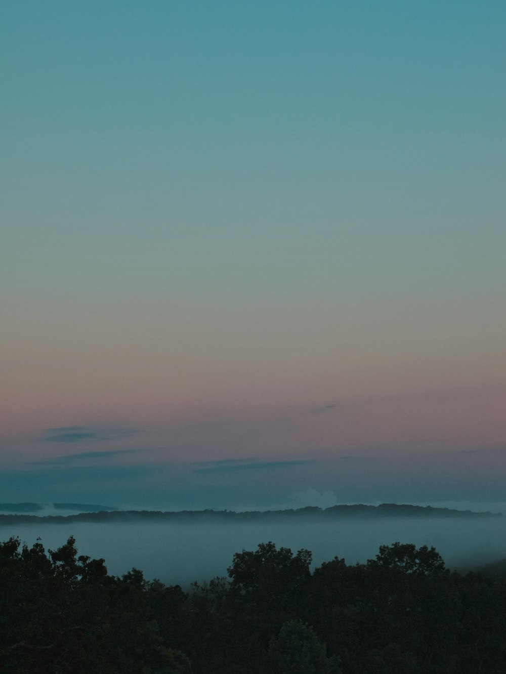 silhouette of trees with sea of clouds